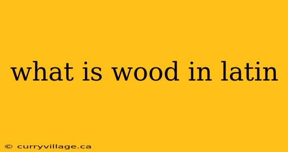 what is wood in latin