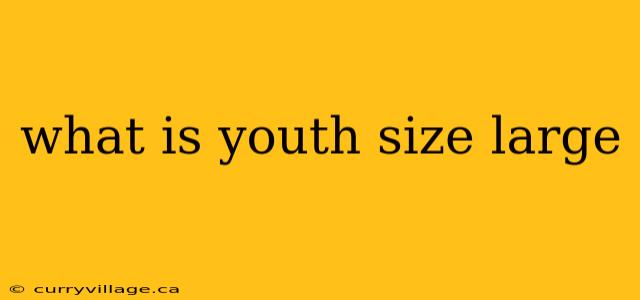 what is youth size large