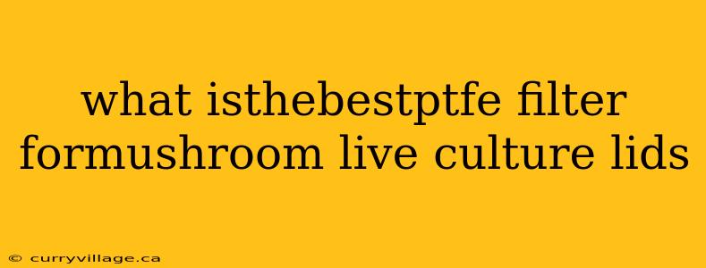 what isthebestptfe filter formushroom live culture lids
