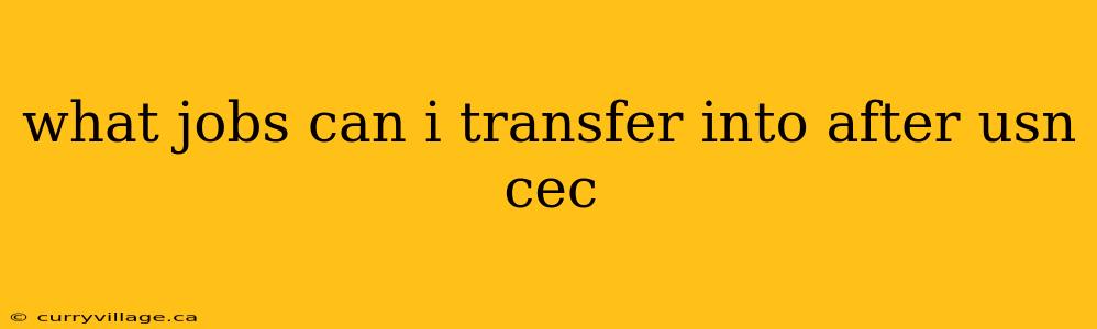 what jobs can i transfer into after usn cec