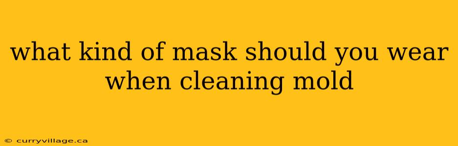 what kind of mask should you wear when cleaning mold