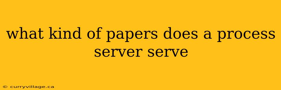 what kind of papers does a process server serve