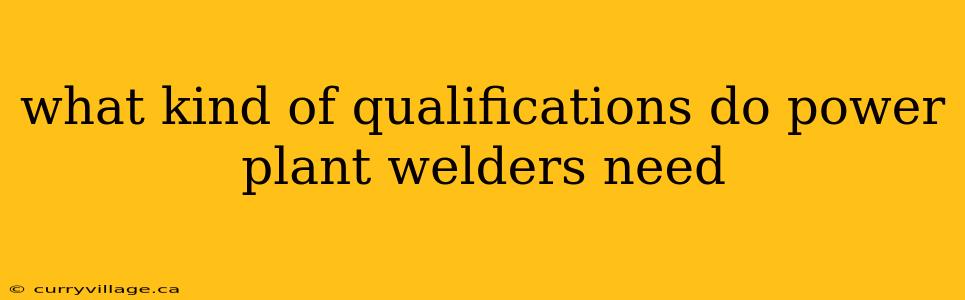 what kind of qualifications do power plant welders need