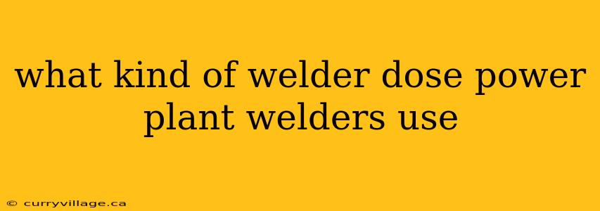 what kind of welder dose power plant welders use