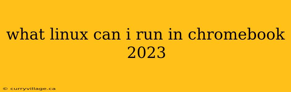 what linux can i run in chromebook 2023