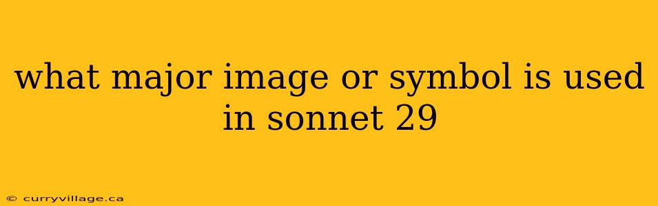 what major image or symbol is used in sonnet 29