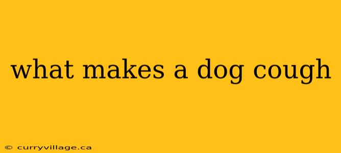 what makes a dog cough
