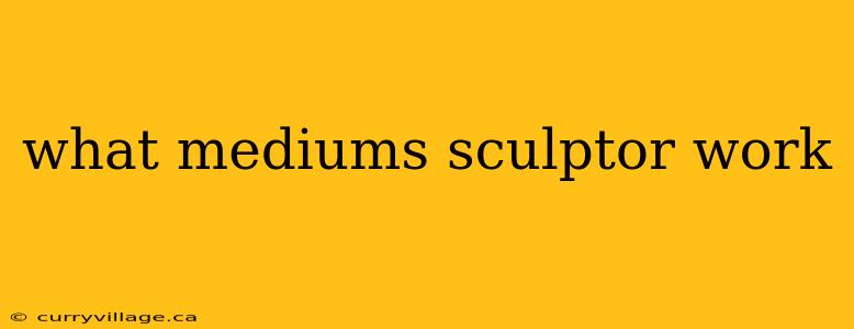 what mediums sculptor work