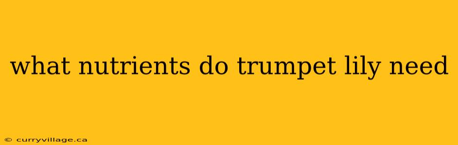 what nutrients do trumpet lily need