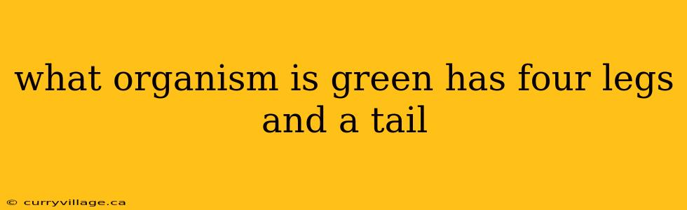 what organism is green has four legs and a tail