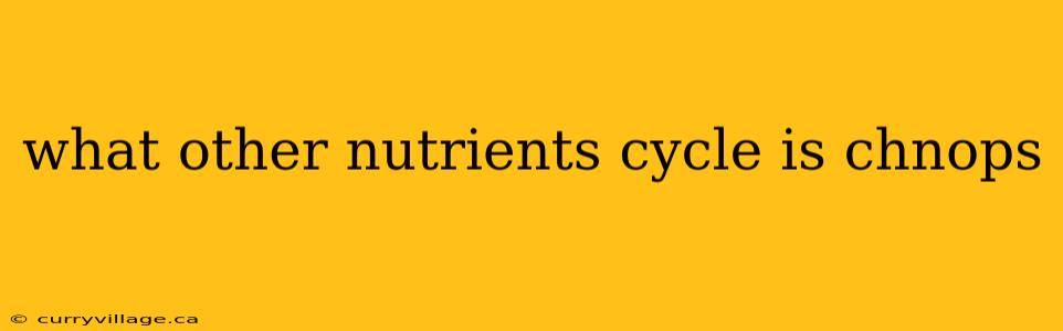 what other nutrients cycle is chnops