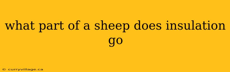 what part of a sheep does insulation go