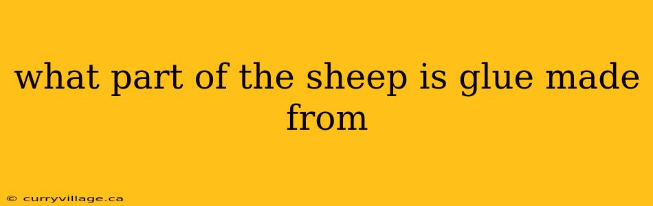 what part of the sheep is glue made from