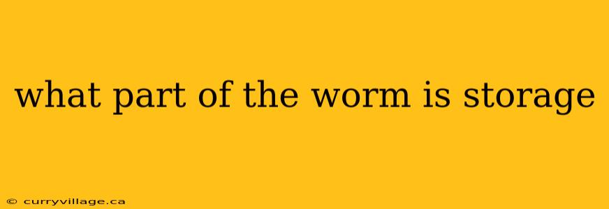 what part of the worm is storage