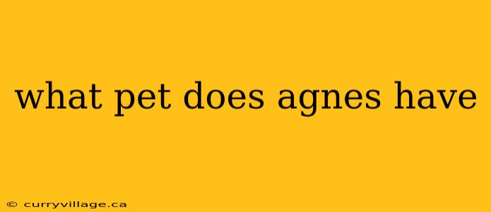 what pet does agnes have