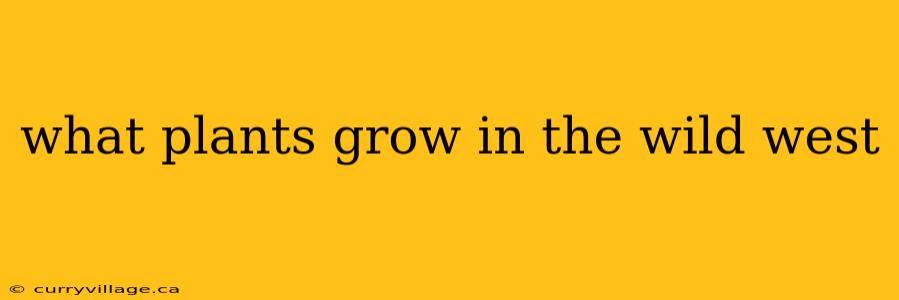 what plants grow in the wild west