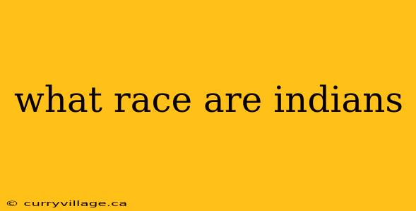 what race are indians