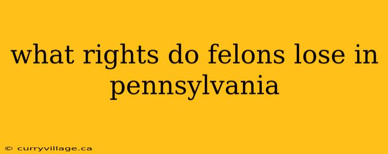 what rights do felons lose in pennsylvania