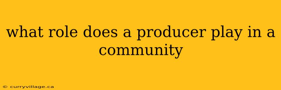 what role does a producer play in a community