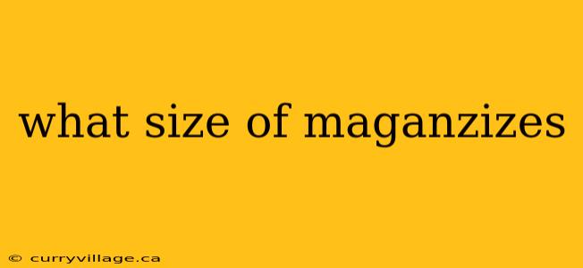 what size of maganzizes