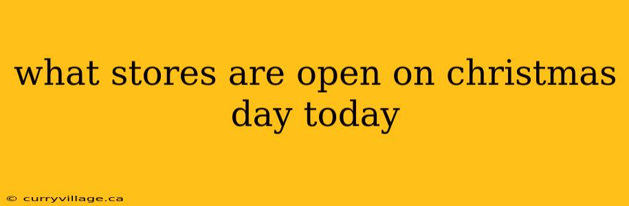 what stores are open on christmas day today