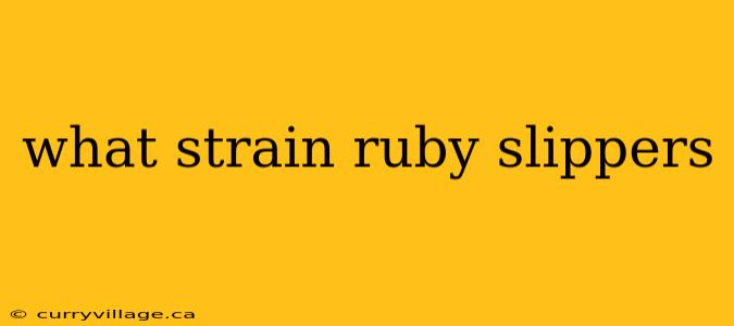 what strain ruby slippers