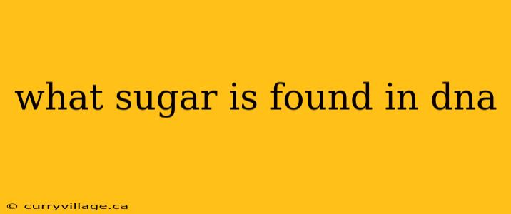 what sugar is found in dna
