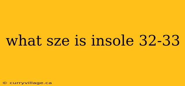 what sze is insole 32-33