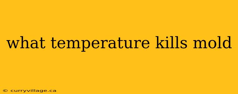 what temperature kills mold