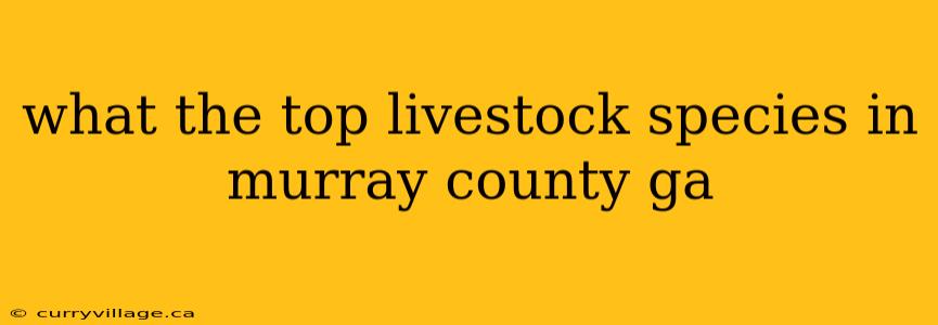 what the top livestock species in murray county ga