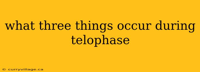 what three things occur during telophase