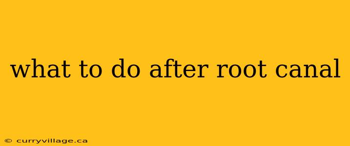 what to do after root canal