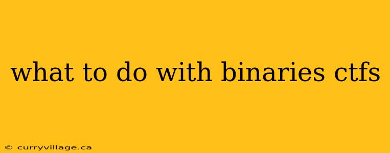 what to do with binaries ctfs