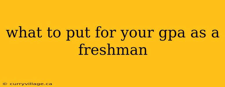 what to put for your gpa as a freshman
