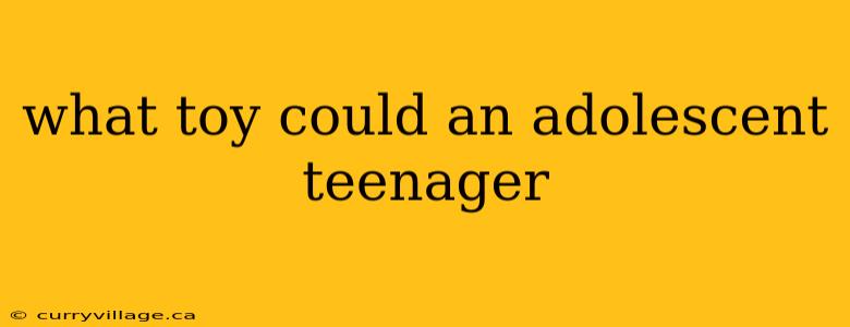 what toy could an adolescent teenager