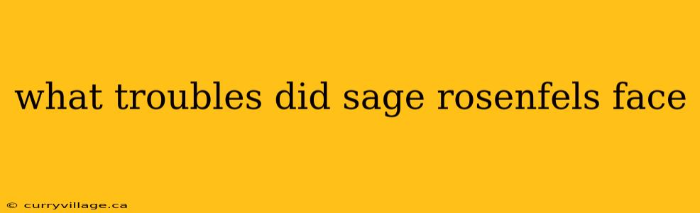 what troubles did sage rosenfels face