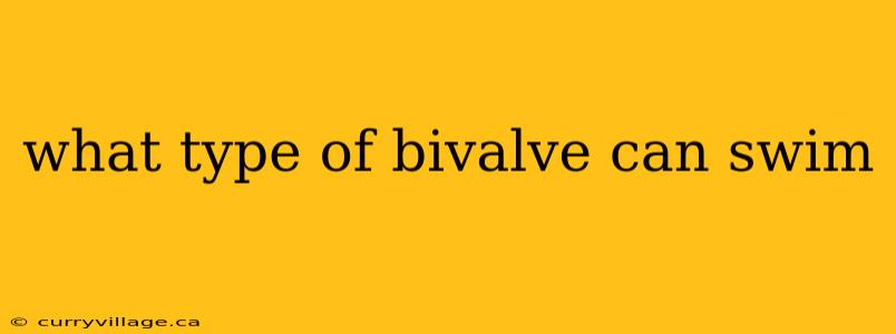 what type of bivalve can swim
