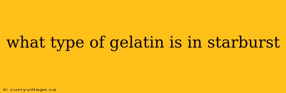 what type of gelatin is in starburst