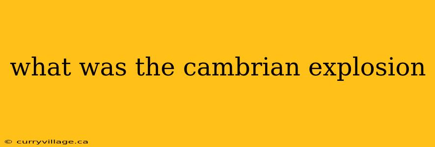what was the cambrian explosion