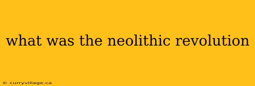 what was the neolithic revolution