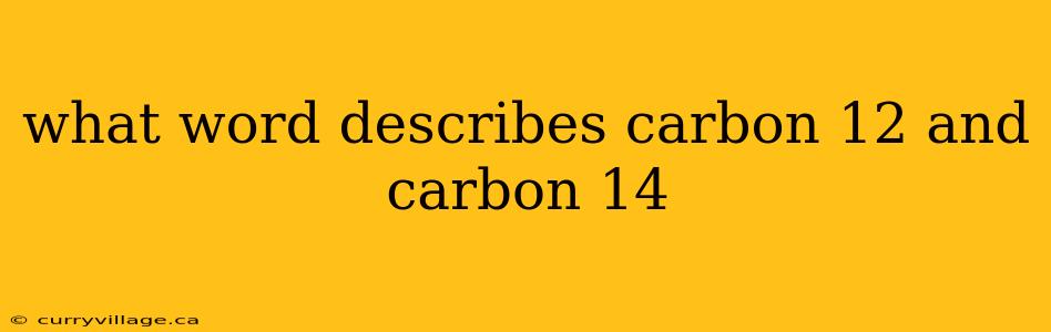 what word describes carbon 12 and carbon 14