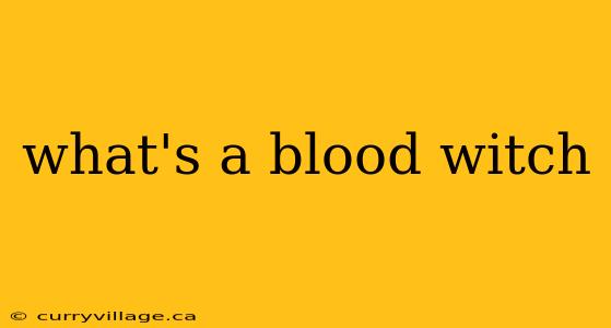 what's a blood witch