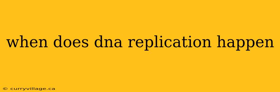 when does dna replication happen
