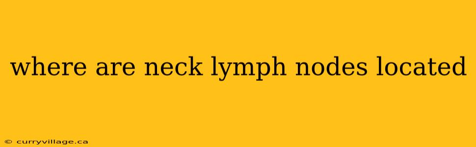 where are neck lymph nodes located