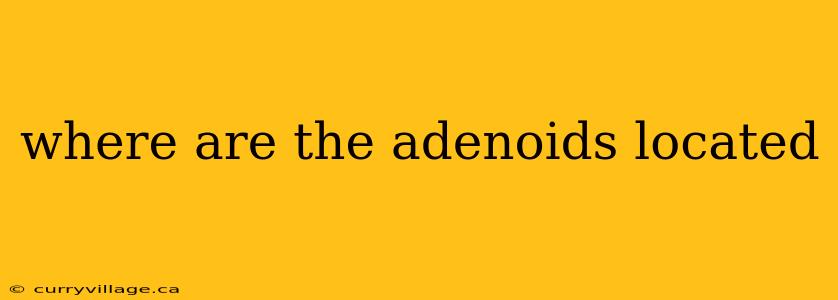 where are the adenoids located
