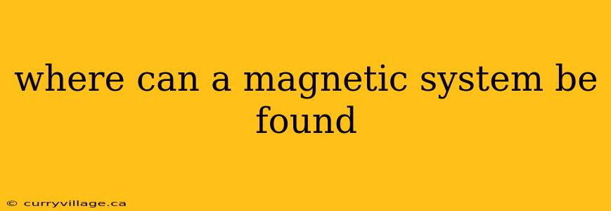 where can a magnetic system be found