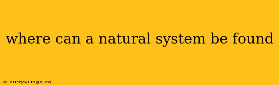 where can a natural system be found