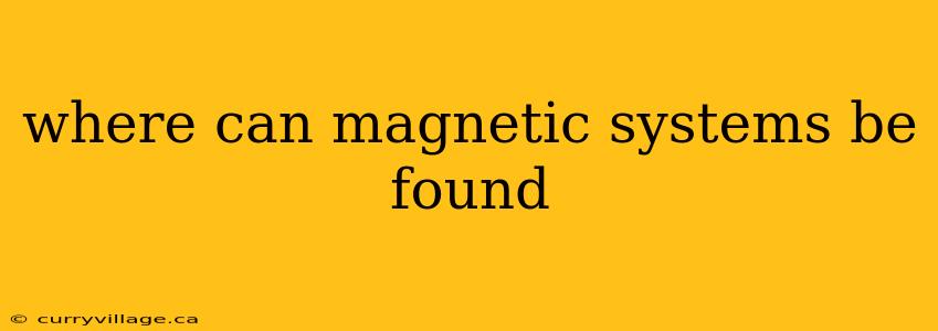 where can magnetic systems be found