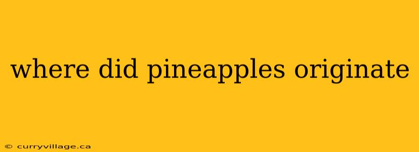 where did pineapples originate
