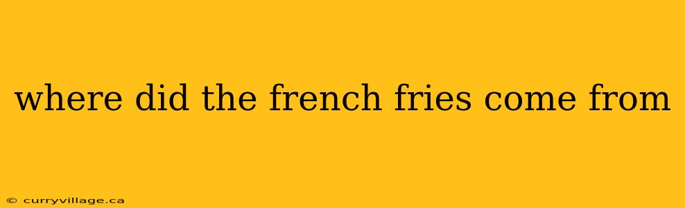 where did the french fries come from